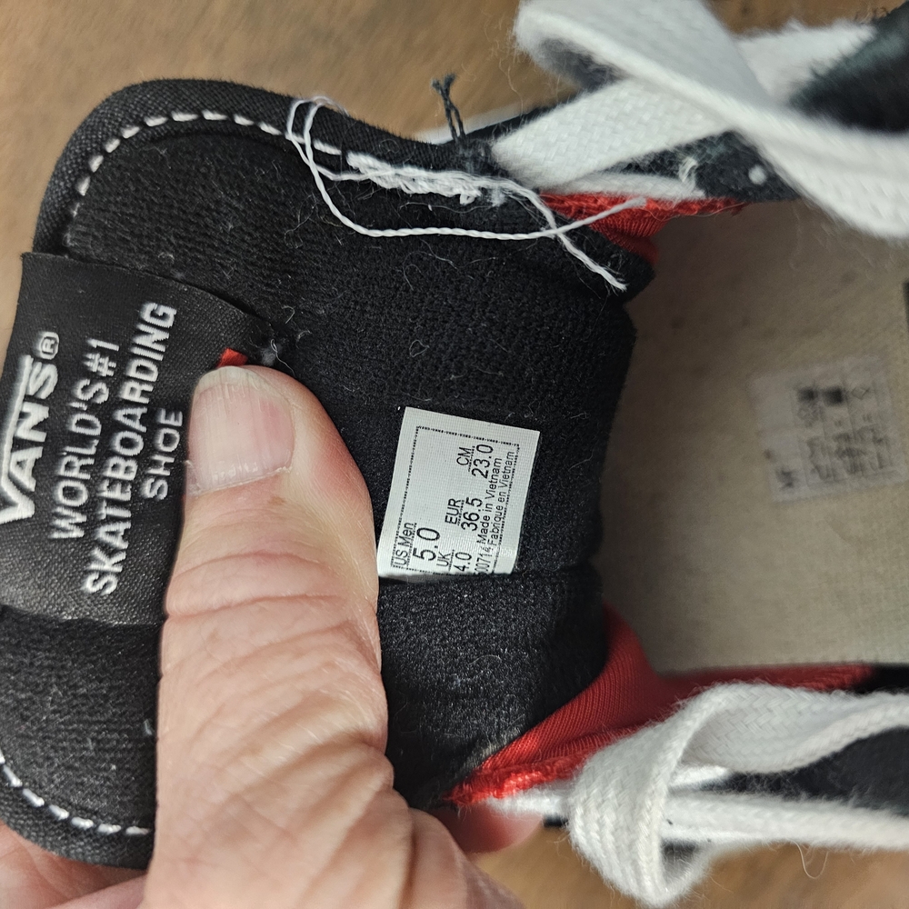 Vans Kids Black and Red Skateboarding Shoes